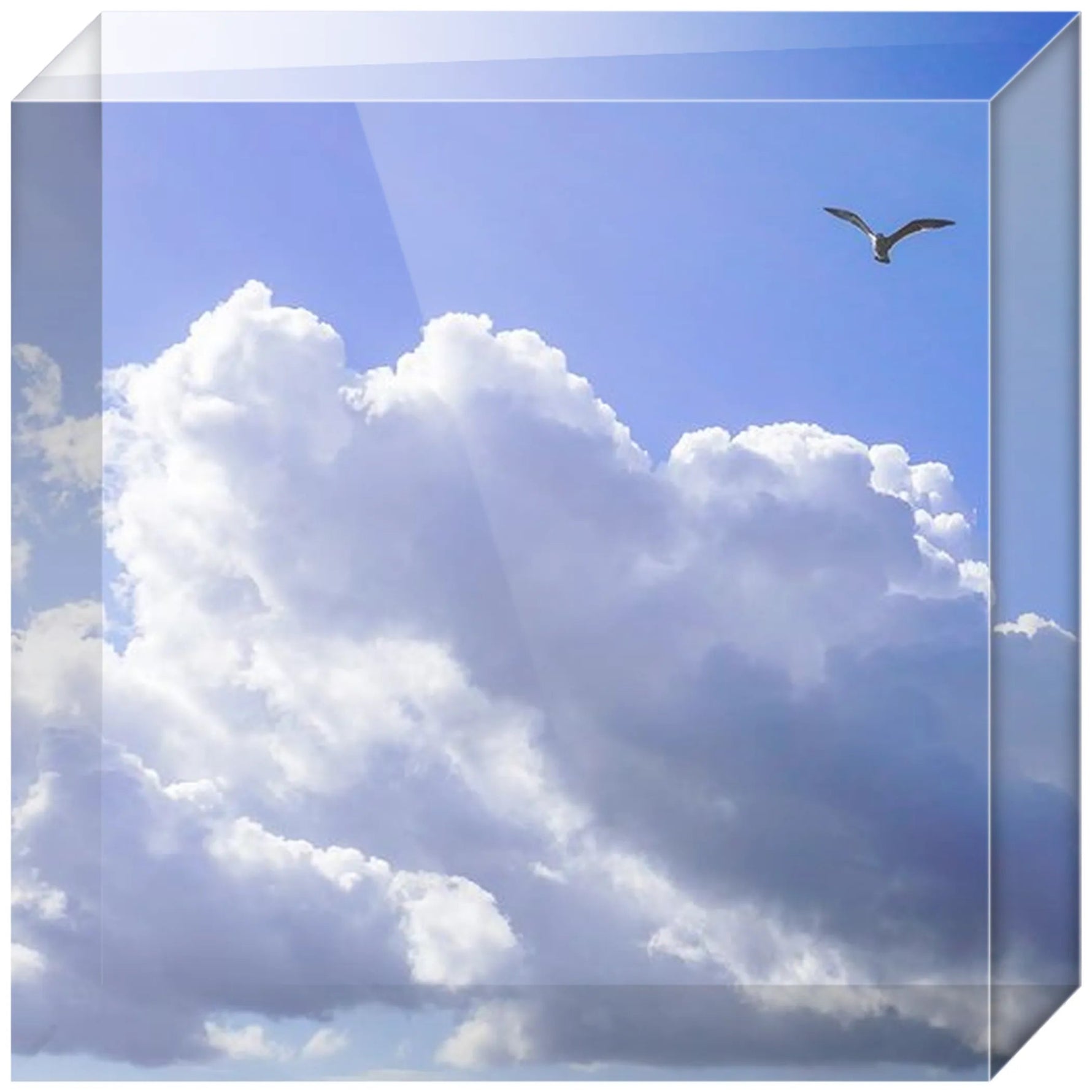 Joseph Regan Art Acrylic Blocks - Pack Of: 1 - AMAZON FACTORY