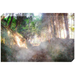 Joseph Regan Art Acrylic Blocks - Pack Of: 1 - AMAZON FACTORY