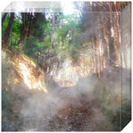 Joseph Regan Art Acrylic Blocks - Pack Of: 1 - AMAZON FACTORY