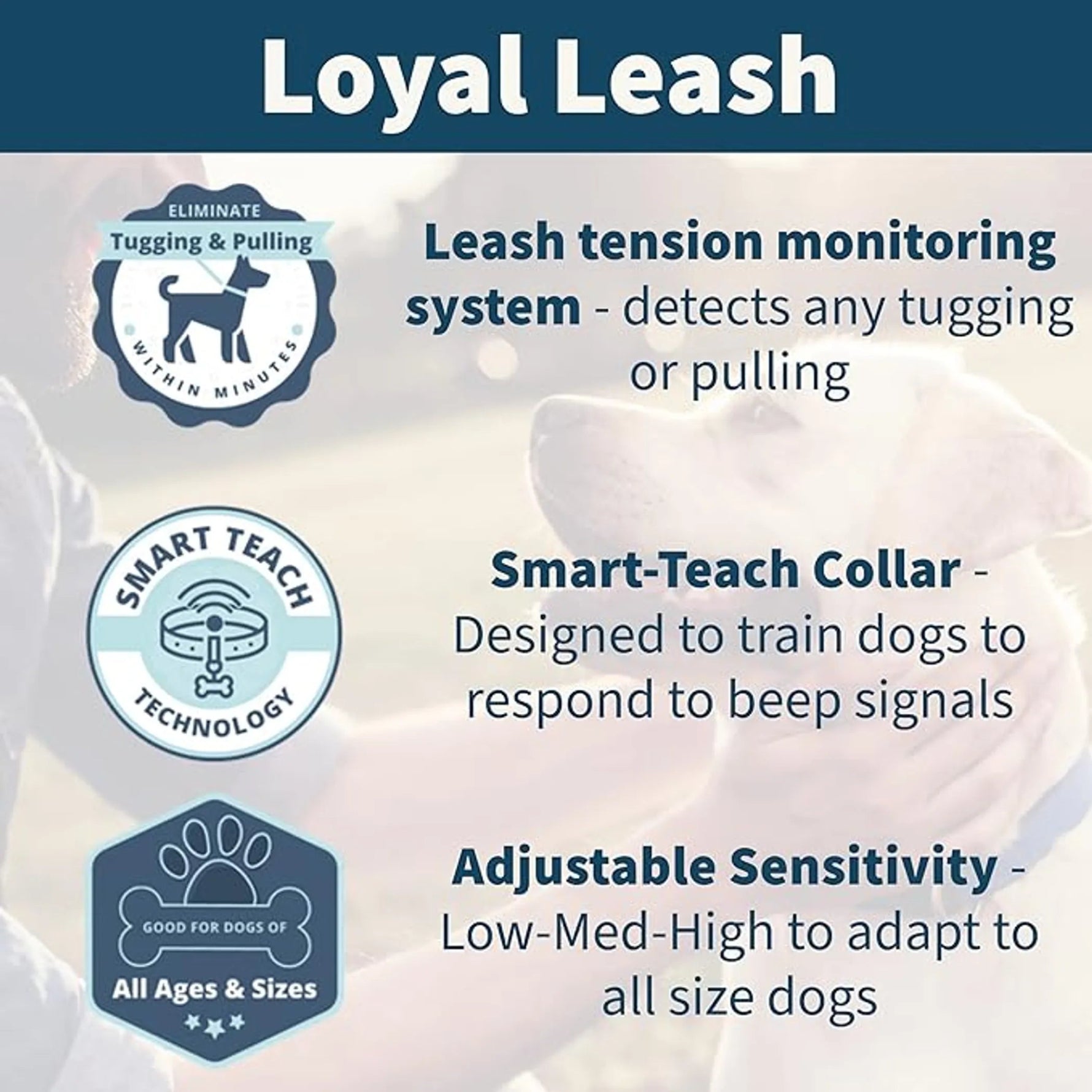 Loyal leash - AMAZON FACTORY
