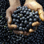 Max Detox (Acai detox) - AMAZON FACTORY