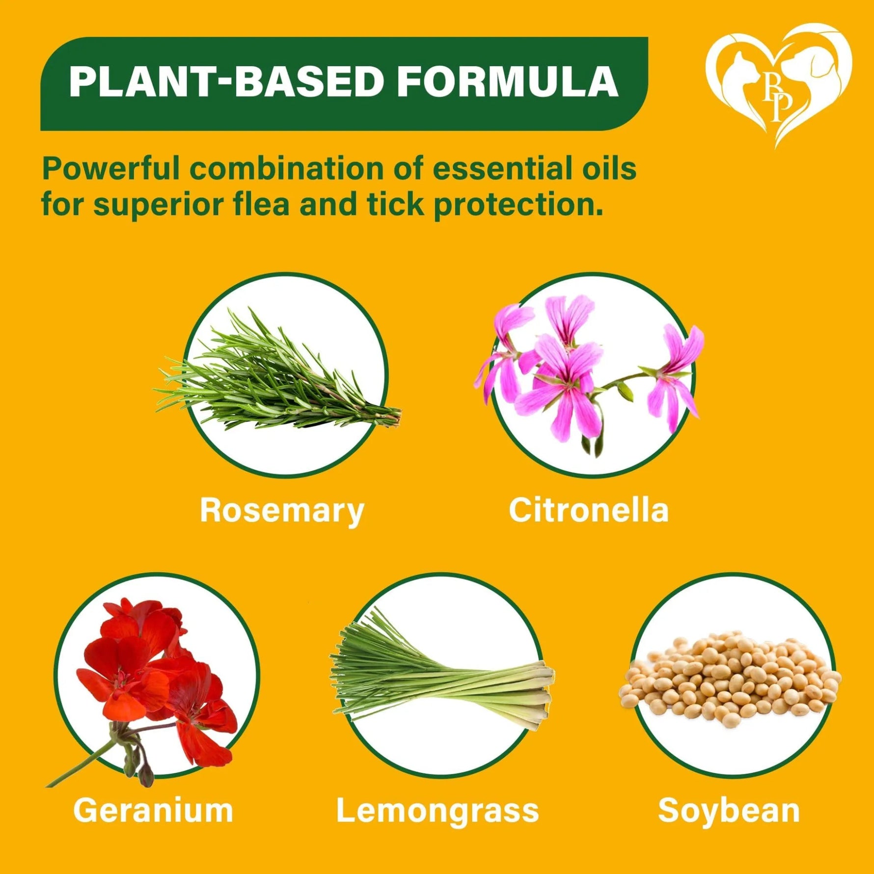 Natural Flea and Tick Home Spray for Dogs Cats & Ferret Mosquito Bug Repellent & Carpet Flea Killer Pet Pest Control & House Flea Treatment Indoor Org - AMAZON FACTORY