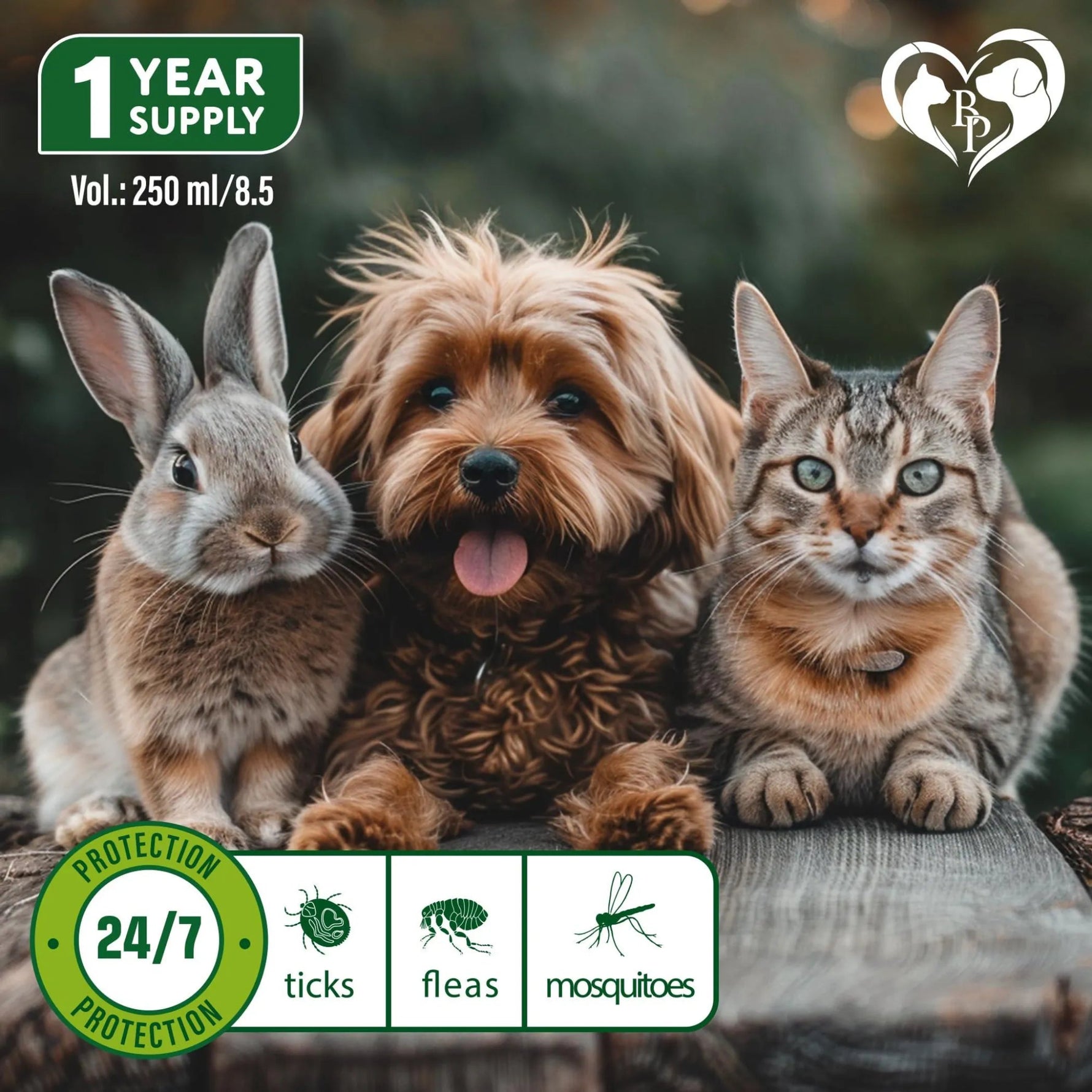 Natural Flea and Tick Home Spray for Dogs Cats & Ferret Mosquito Bug Repellent & Carpet Flea Killer Pet Pest Control & House Flea Treatment Indoor Org - AMAZON FACTORY