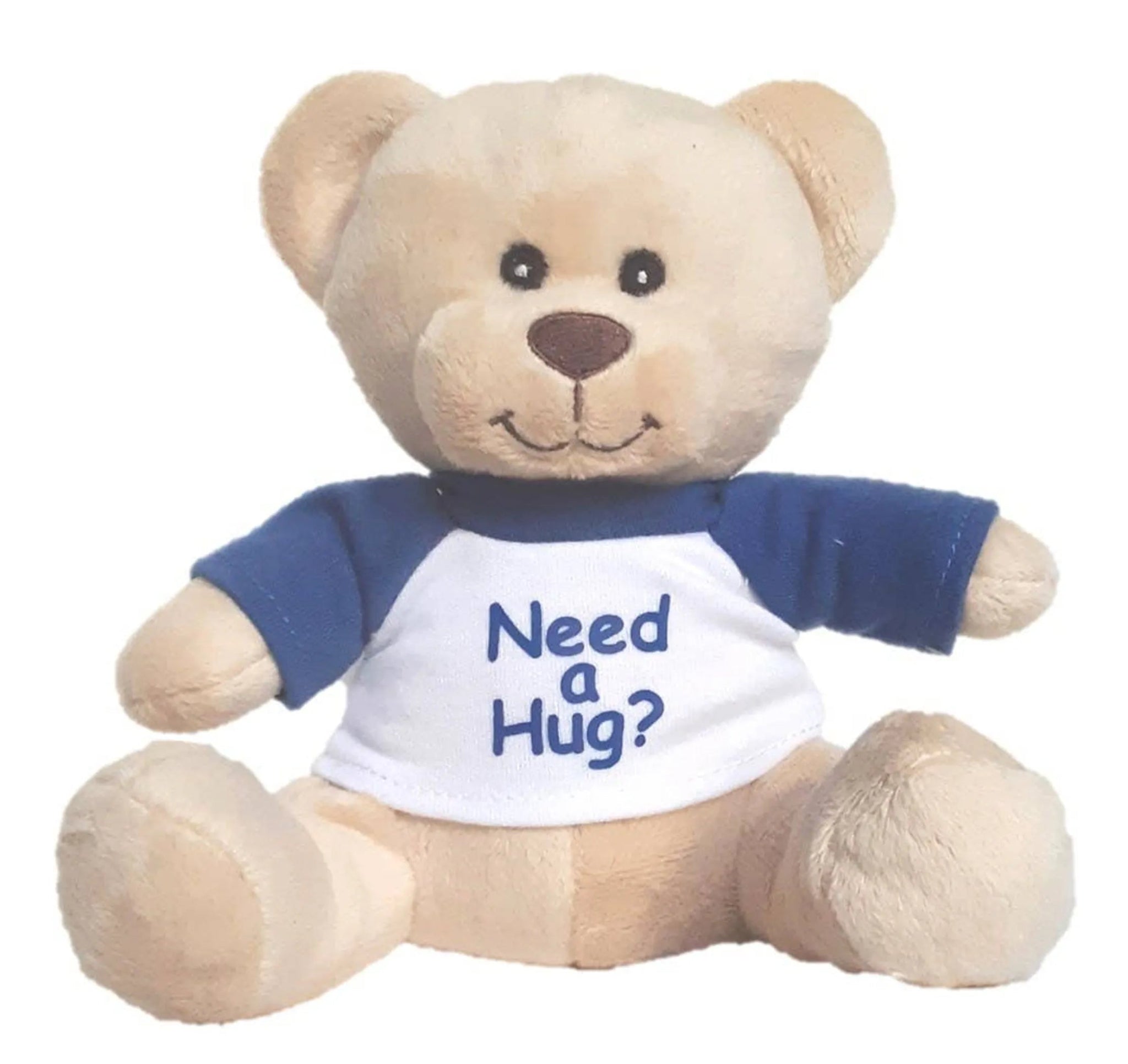 "Need a Hug" Small Super Cute Teddy Bear - AMAZON FACTORY