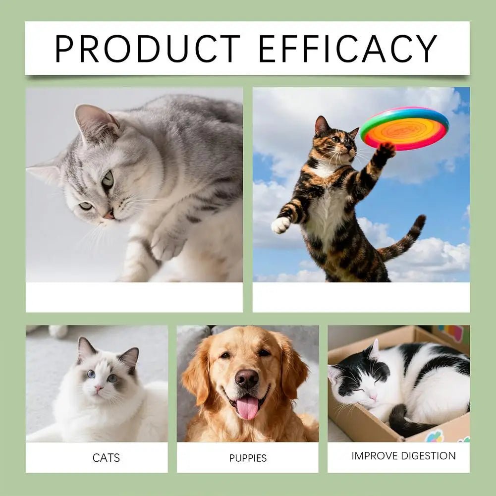 Pet Nutrition Supplement Probiotic Drops Containing Enzymes Used For Dog Cat Digestion And Immune Support Health Supplement 60ML-AMAZON FACTORY