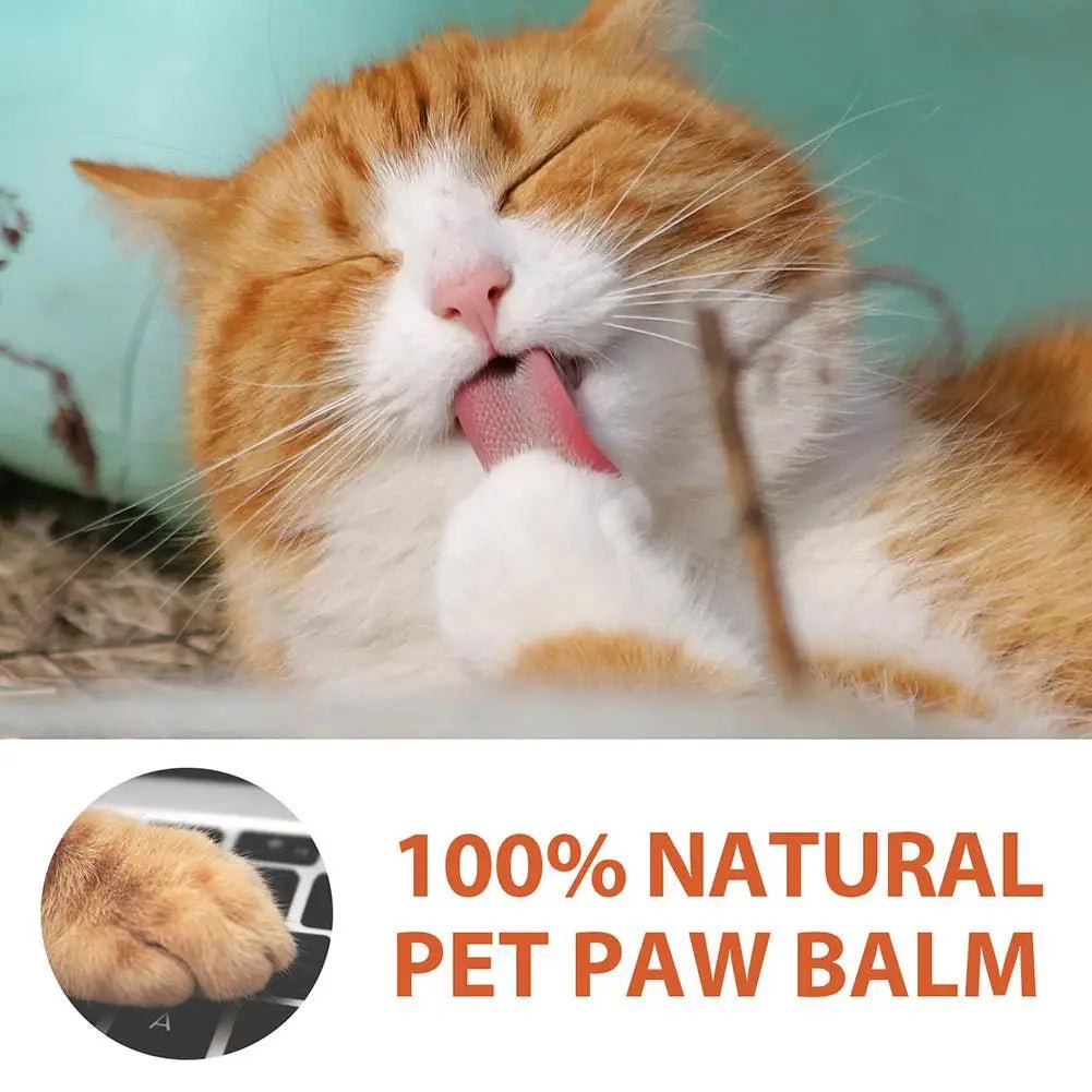 Pet Paw Care Cream Dogs Cat Nose Balm Foot Care Cleaner Dog Bath Foot Pad Protective Oil for Cracked Paw Care Paw Balm 30g-AMAZON FACTORY