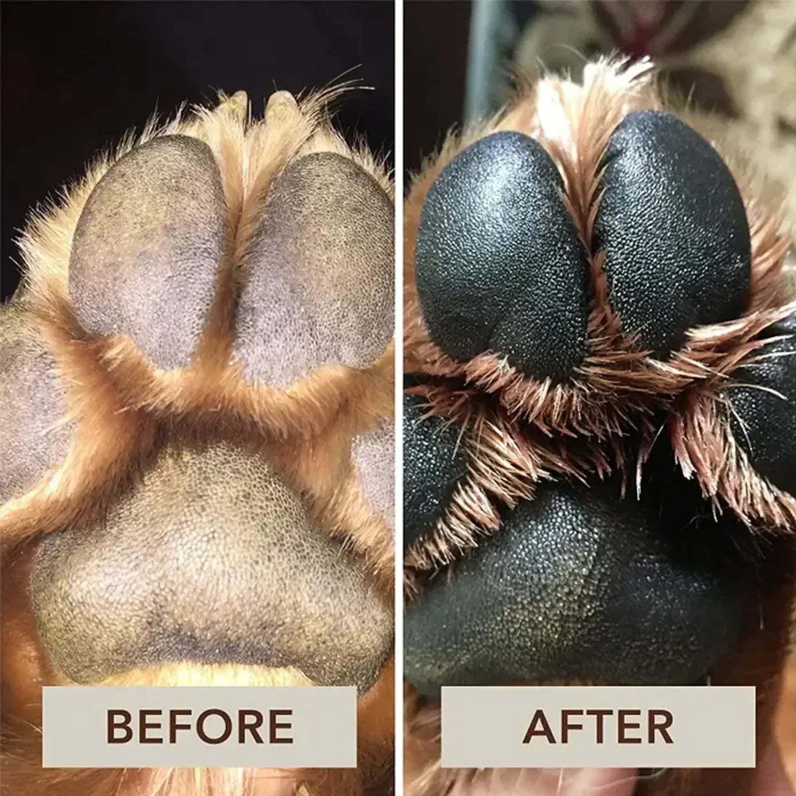 Pet Paw Cream Dog Cat Paw Cleaner Kitten Foot Washer Foot Cleaning Protection Moisturizer Pet Supplies Dry Healthy Care Balm 30g-AMAZON FACTORY