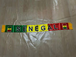 Senegal Scarf 14x135cm Double-sided Printed Senegal Flag Satin Scarf Suitable for 2026 world cup Sports Events-AMAZON FACTORY