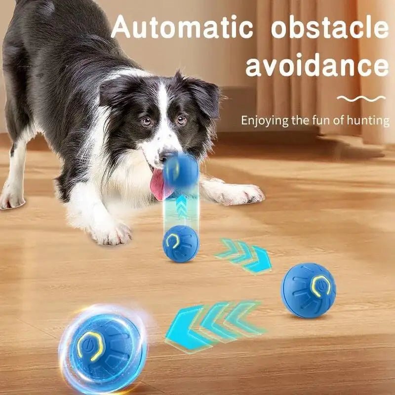 Smart Dog Toy Ball Electronic Interactive Pet Toy Moving Ball USB Automatic Moving Jumping Bouncing-AMAZON FACTORY