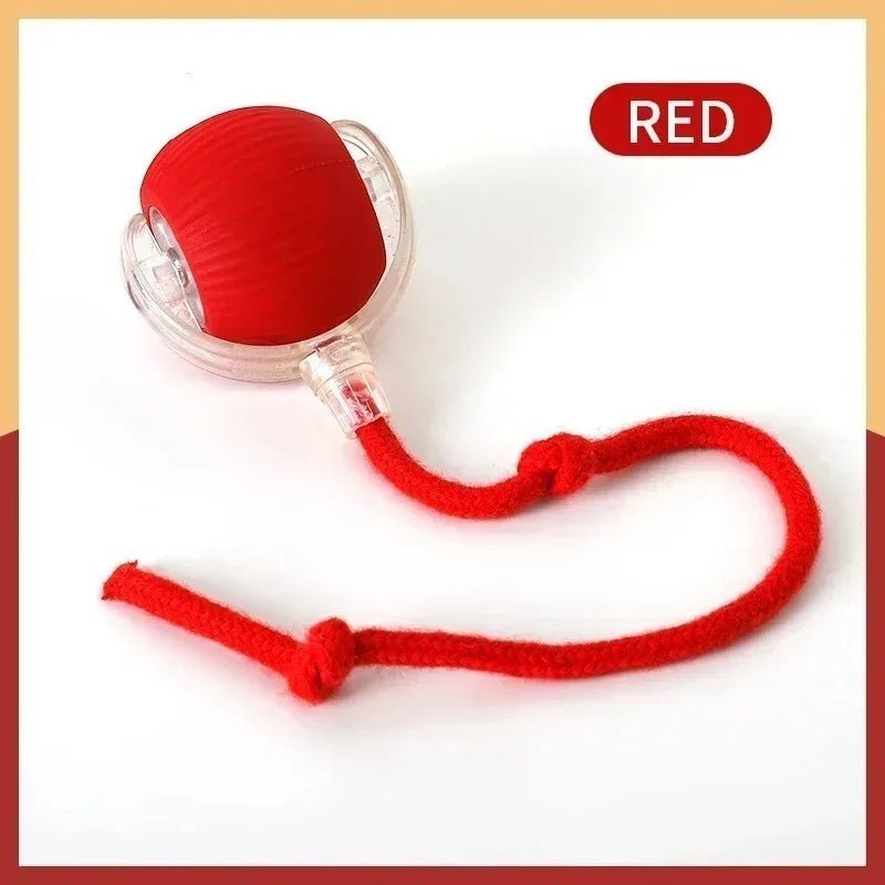 Smart Dog Toy Ball Electronic Interactive Pet Toy Moving Ball USB Automatic Moving Jumping Bouncing-AMAZON FACTORY