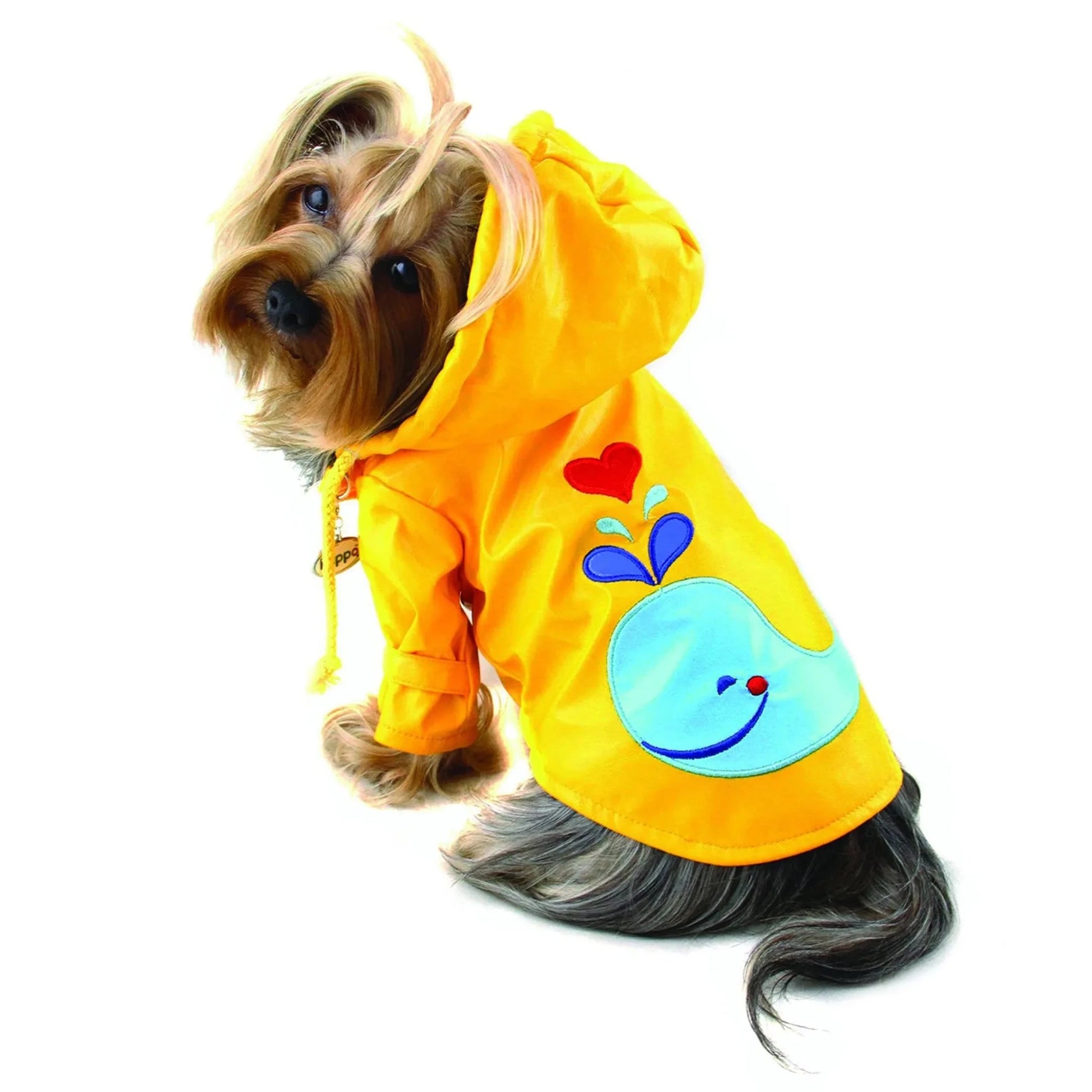Splashing Whale Raincoat with Cotton Lining-AMAZON FACTORY
