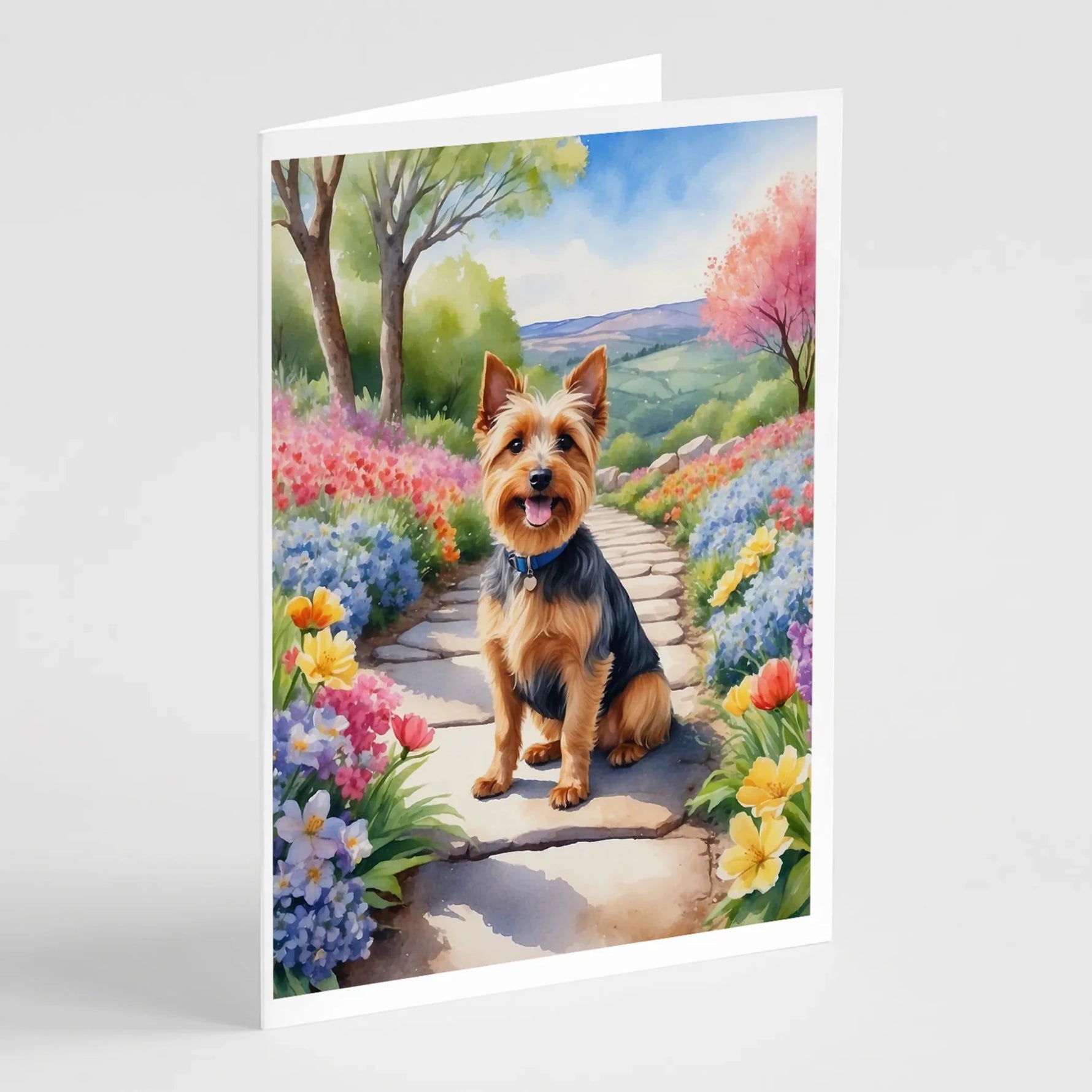 Spring Path Greeting Cards - Size: 5X7 | Pack Of: 8 | Collection name: Spring path - AMAZON FACTORY