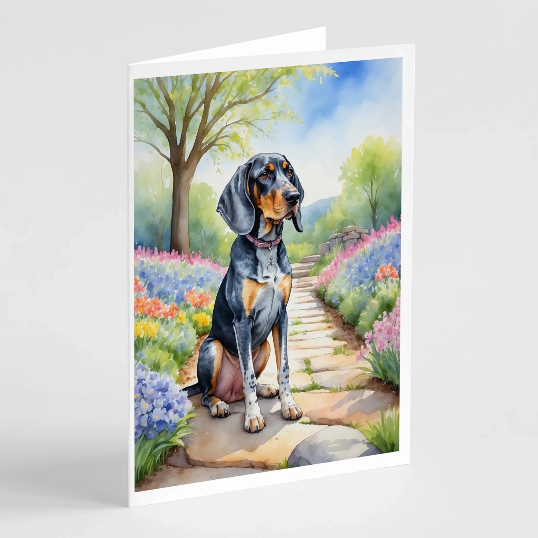 Spring Path Greeting Cards - Size: 5X7 | Pack Of: 8 | Collection name: Spring path - AMAZON FACTORY
