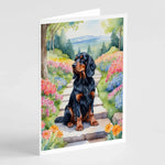 Spring Path Greeting Cards - Size: 5X7 | Pack Of: 8 | Collection name: Spring path - AMAZON FACTORY