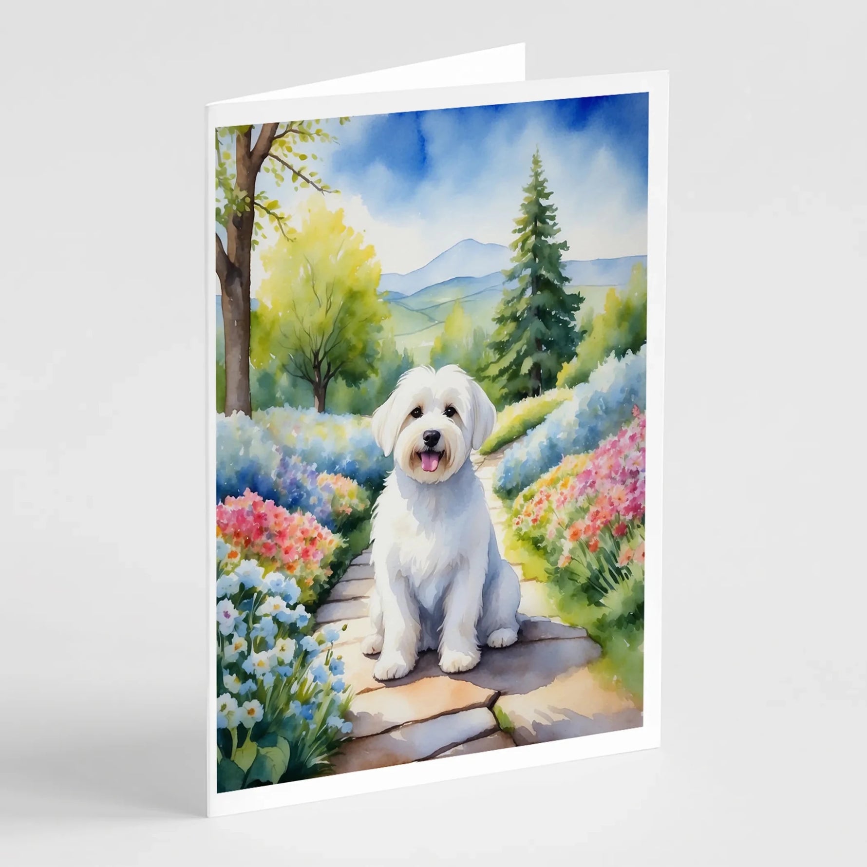 Spring Path Greeting Cards - Size: 5X7 | Pack Of: 8 | Collection name: Spring path - AMAZON FACTORY