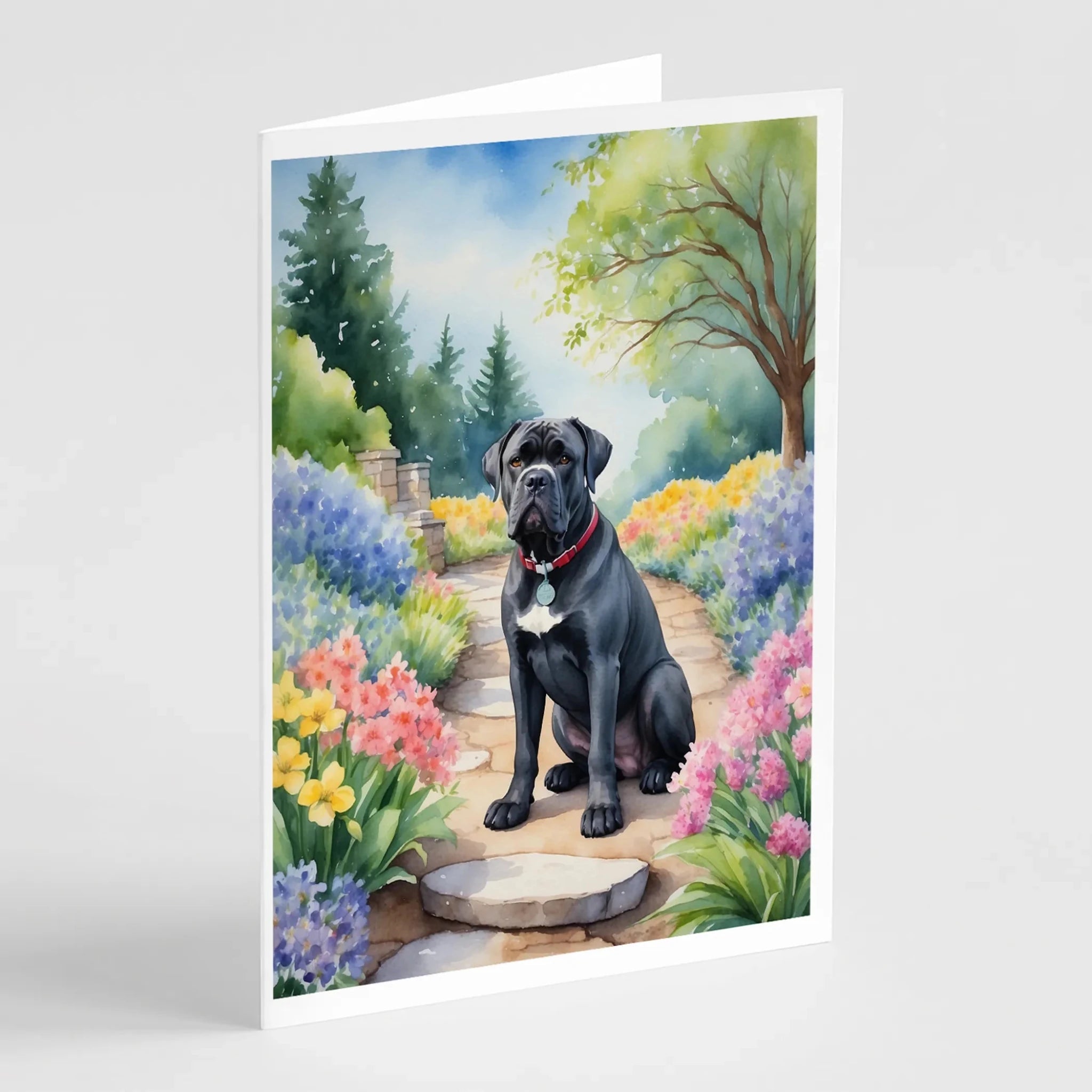 Spring Path Greeting Cards - Size: 5X7 | Pack Of: 8 | Collection name: Spring path-AMAZON FACTORY