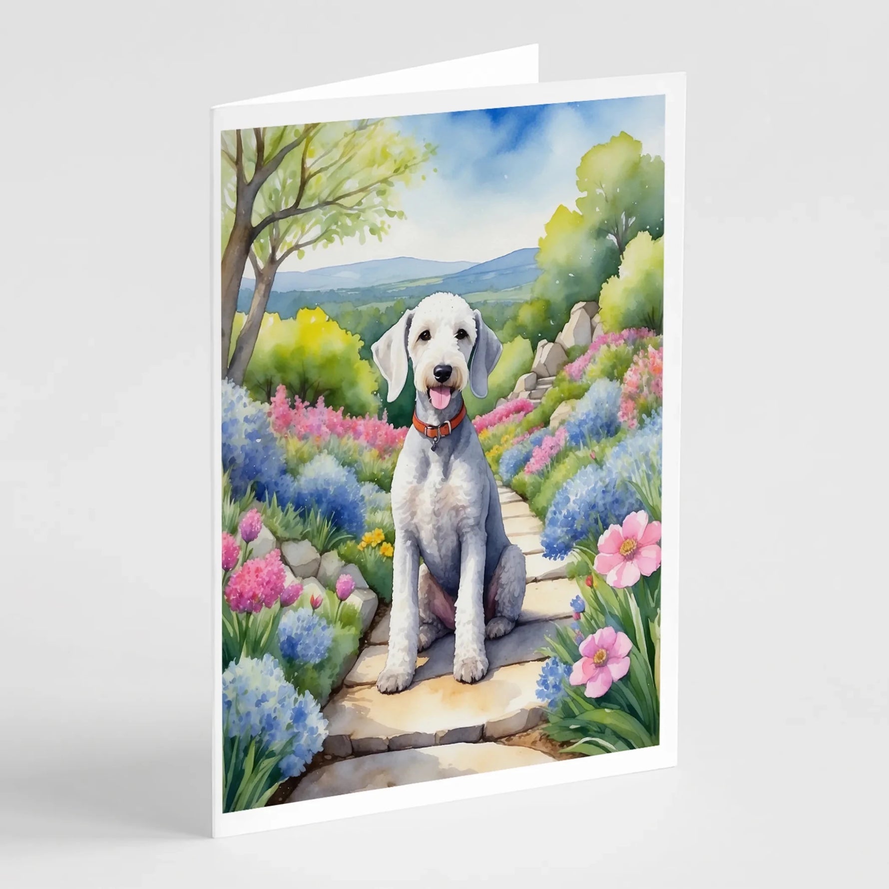 Spring Path Greeting Cards - Size: 5X7 | Pack Of: 8 | Collection name: Spring path - AMAZON FACTORY