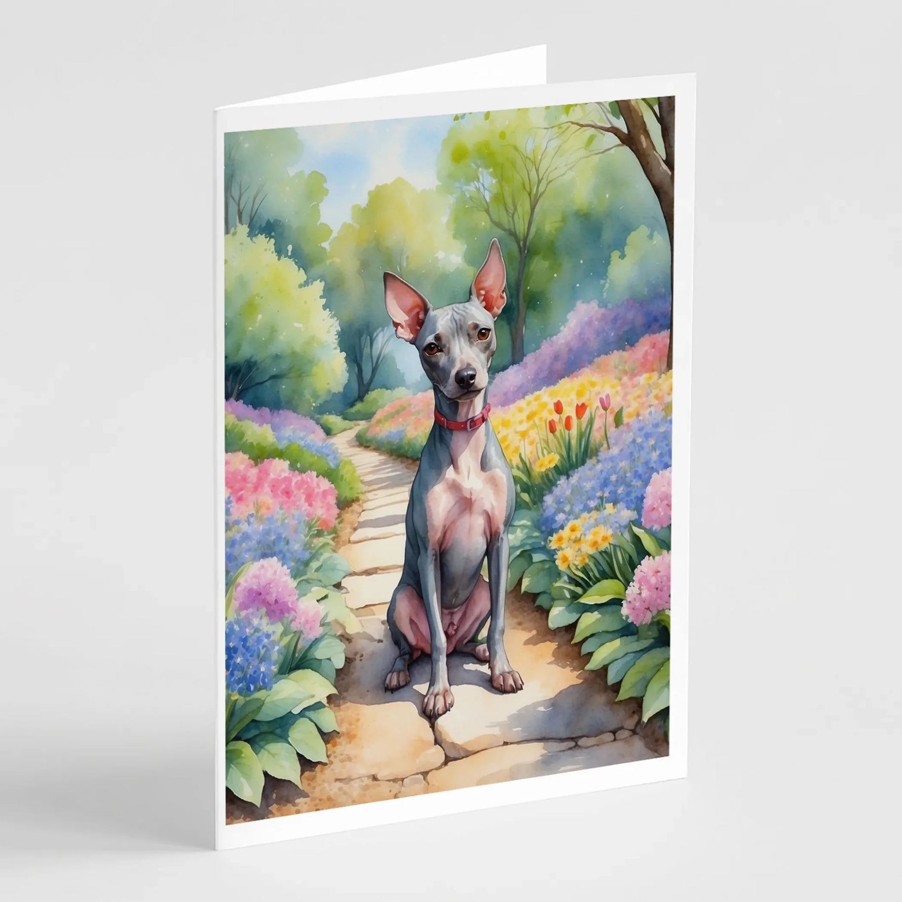 Spring Path Greeting Cards - Size: 5X7 | Pack Of: 8 | Collection name: Spring path - AMAZON FACTORY
