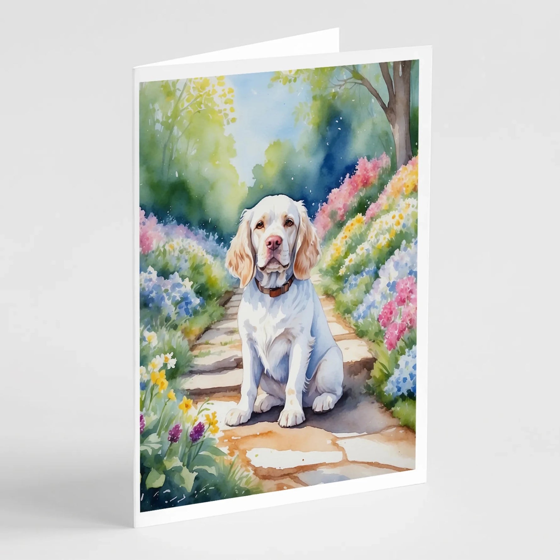 Spring Path Greeting Cards - Size: 5X7 | Pack Of: 8 | Collection name: Spring path - AMAZON FACTORY
