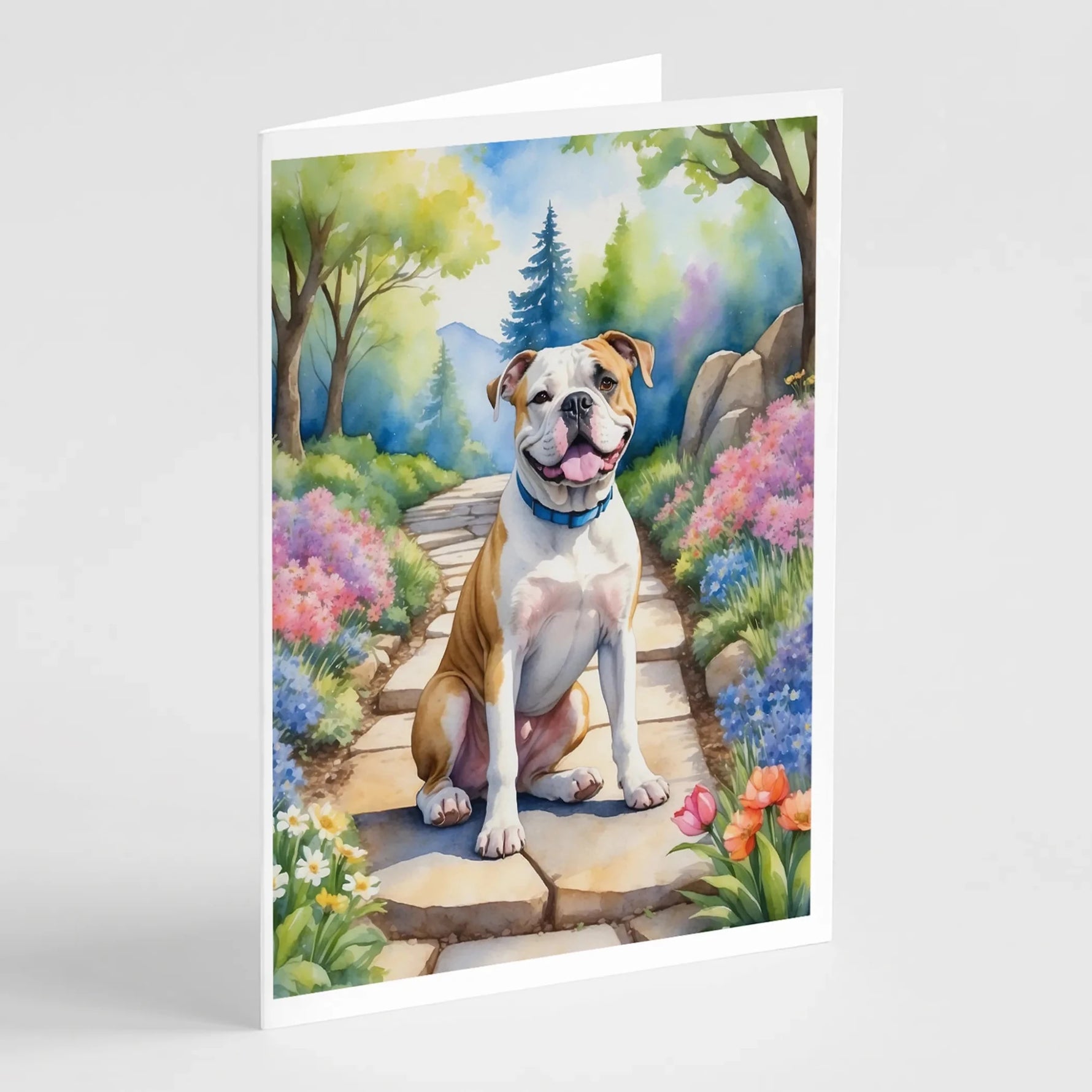 Spring Path Greeting Cards - Size: 5X7 | Pack Of: 8 | Collection name: Spring path - AMAZON FACTORY