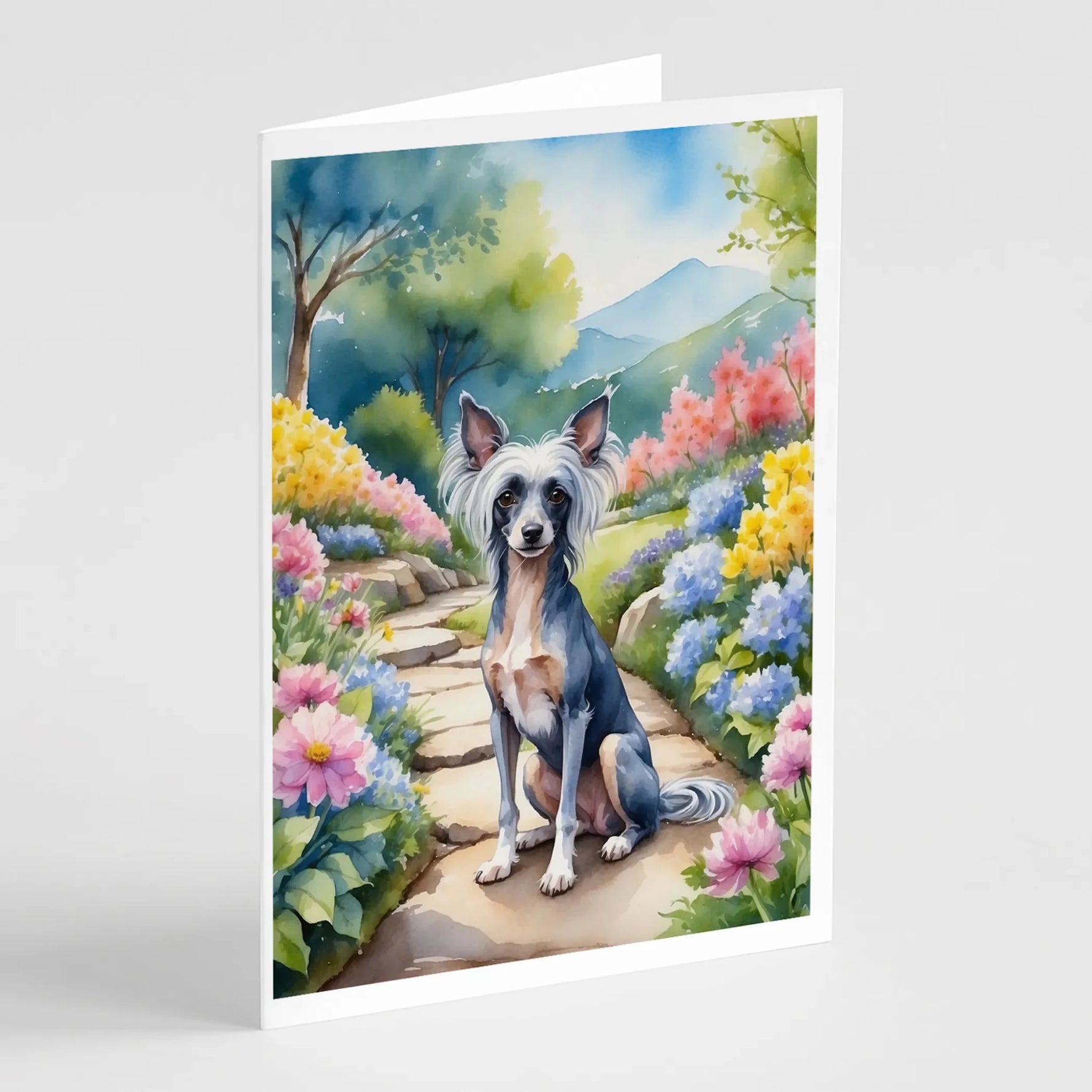Spring Path Greeting Cards - Size: 5X7 | Pack Of: 8 | Collection name: Spring path - AMAZON FACTORY