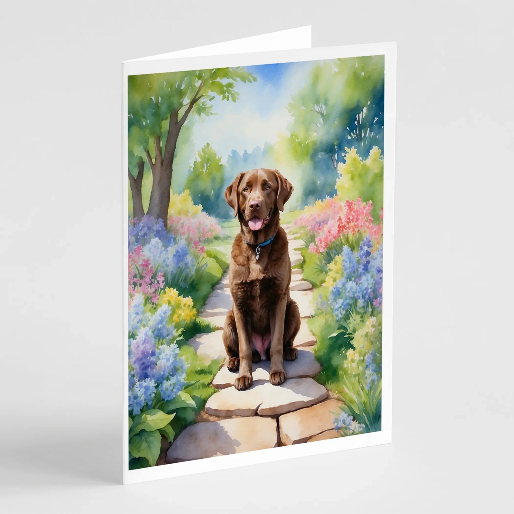 Spring Path Greeting Cards - Size: 5X7 | Pack Of: 8 | Collection name: Spring path - AMAZON FACTORY
