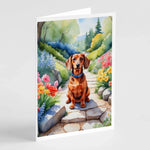 Spring Path Greeting Cards - Size: 5X7 | Pack Of: 8 | Collection name: Spring path - AMAZON FACTORY