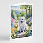 Spring Path Greeting Cards - Size: 5X7 | Pack Of: 8 | Collection name: Spring path - AMAZON FACTORY