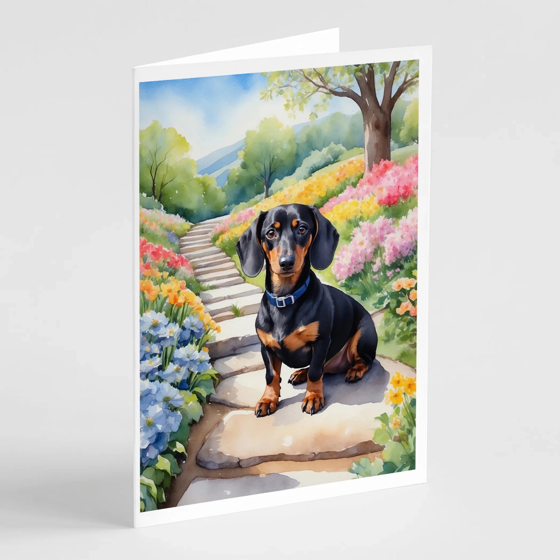 Spring Path Greeting Cards - Size: 5X7 | Pack Of: 8 | Collection name: Spring path - AMAZON FACTORY