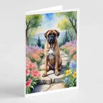 Spring Path Greeting Cards - Size: 5X7 | Pack Of: 8 | Collection name: Spring path - AMAZON FACTORY