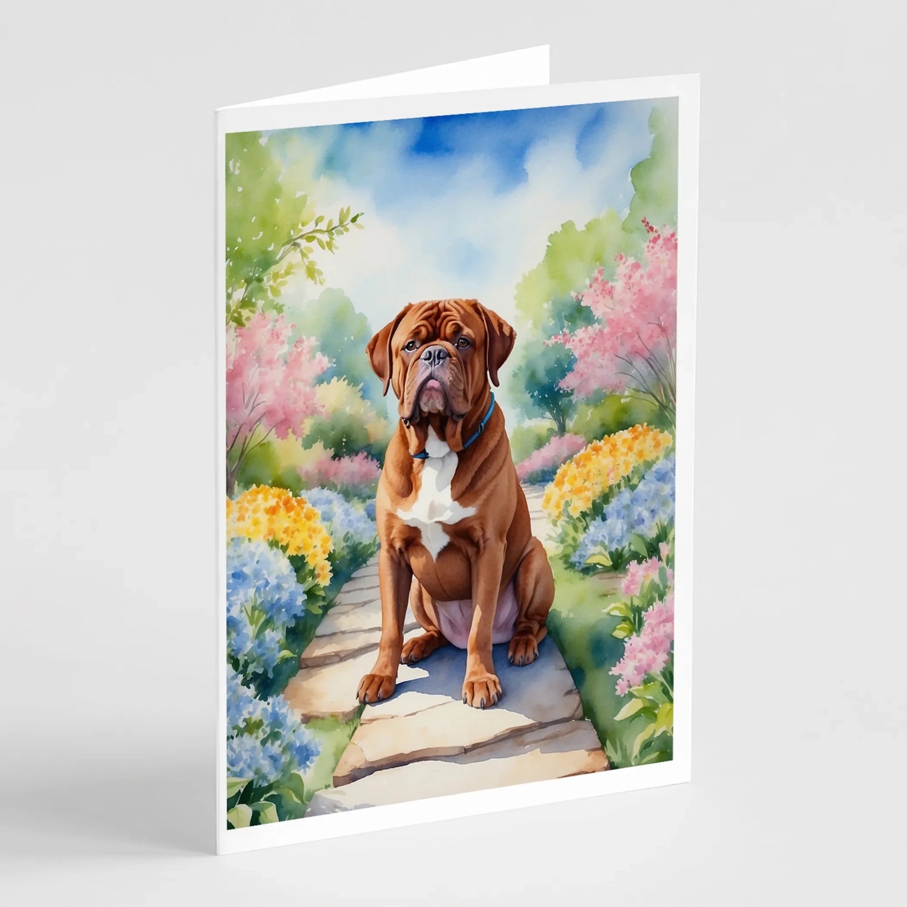 Spring Path Greeting Cards - Size: 5X7 | Pack Of: 8 | Collection name: Spring path - AMAZON FACTORY