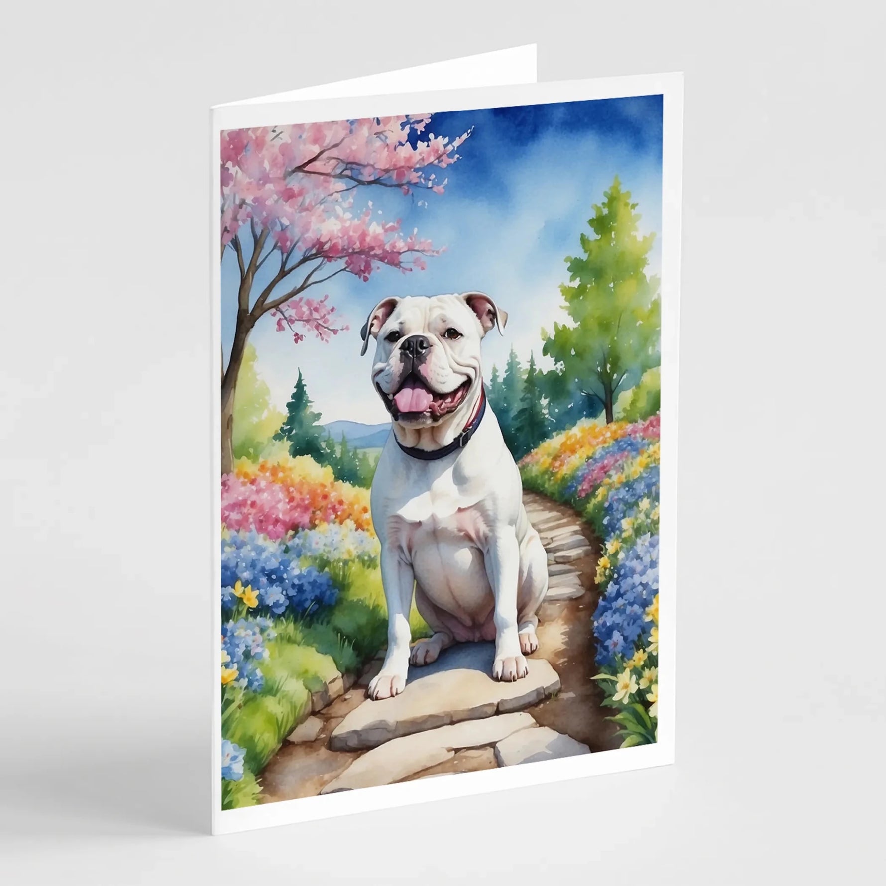 Spring Path Greeting Cards - Size: 5X7 | Pack Of: 8 | Collection name: Spring path - AMAZON FACTORY