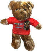 Teddy Bear 11.5" Tall Plush Stuffed Animal-AMAZON FACTORY