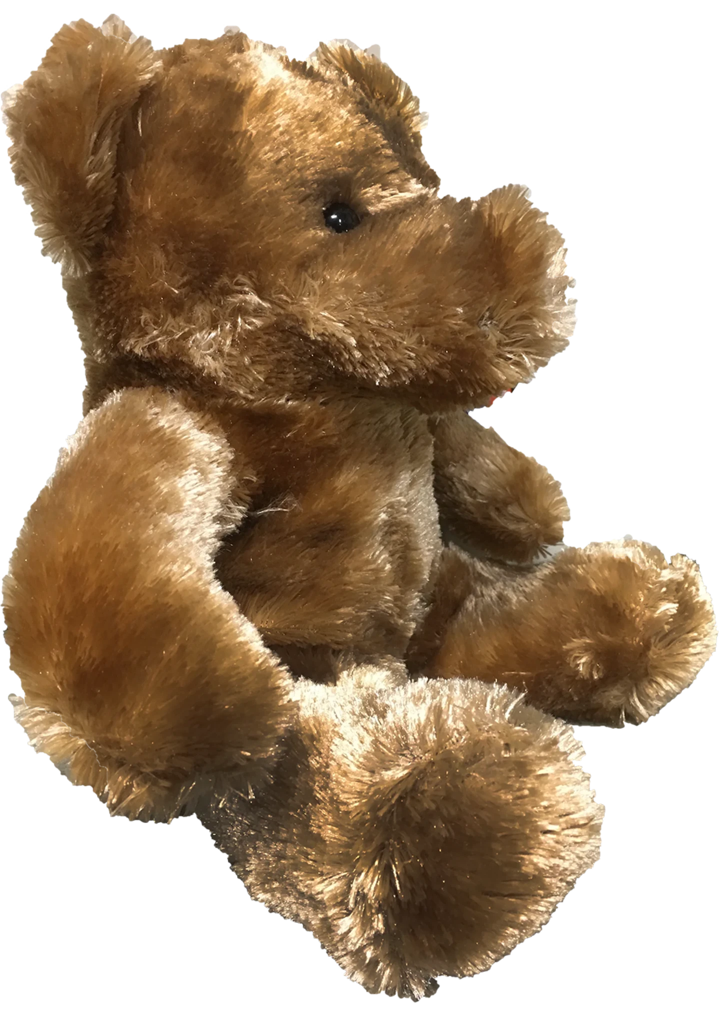 Teddy Bear 11.5