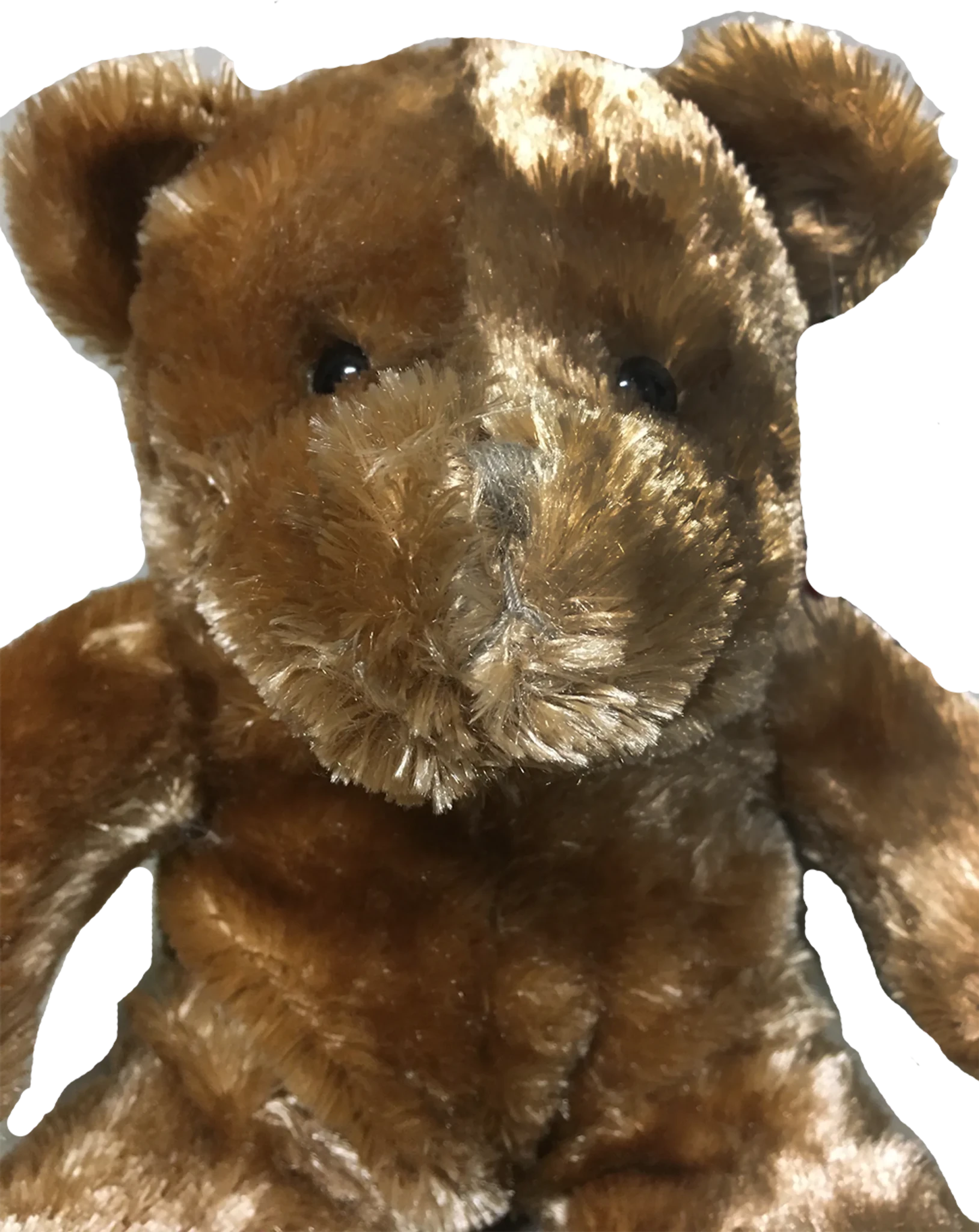 Teddy Bear 11.5