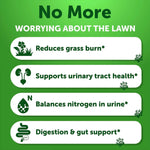 The Amazon Factory's Grass Burn Spot Chews for Dogs - AMAZON FACTORY