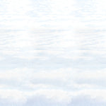 Themed Backdrops - AMAZON FACTORY