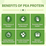 Vegan Pea Protein Isolate (Chocolate) - AMAZON FACTORY