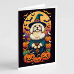 Witchy Halloween Greeting Cards - Size: 5X7 | Pack Of: 8 | Collection name: Witchy halloween - AMAZON FACTORY