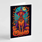Witchy Halloween Greeting Cards - Size: 5X7 | Pack Of: 8 | Collection name: Witchy halloween - AMAZON FACTORY
