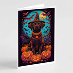 Witchy Halloween Greeting Cards - Size: 5X7 | Pack Of: 8 | Collection name: Witchy halloween - AMAZON FACTORY