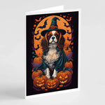 Witchy Halloween Greeting Cards - Size: 5X7 | Pack Of: 8 | Collection name: Witchy halloween - AMAZON FACTORY